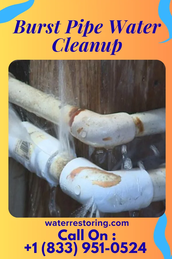 Burst Pipe Water Cleanup in Hoisington, KS