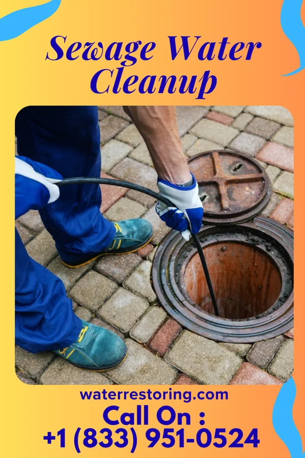 Sewage Water Cleanup in Hoisington, KS