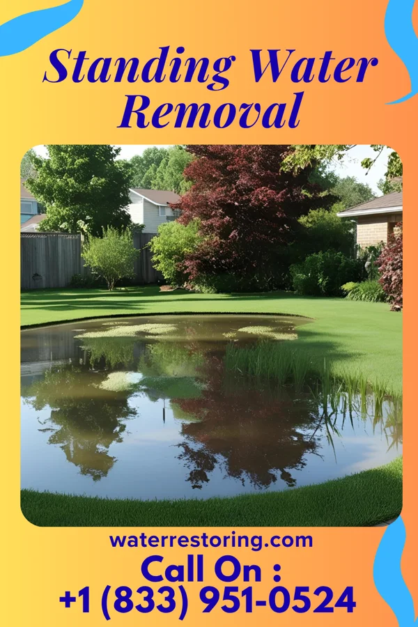 Standing Water Removal in Hoisington, KS